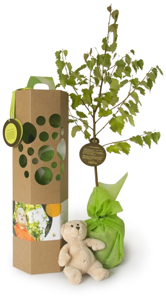 Arbre de naissance